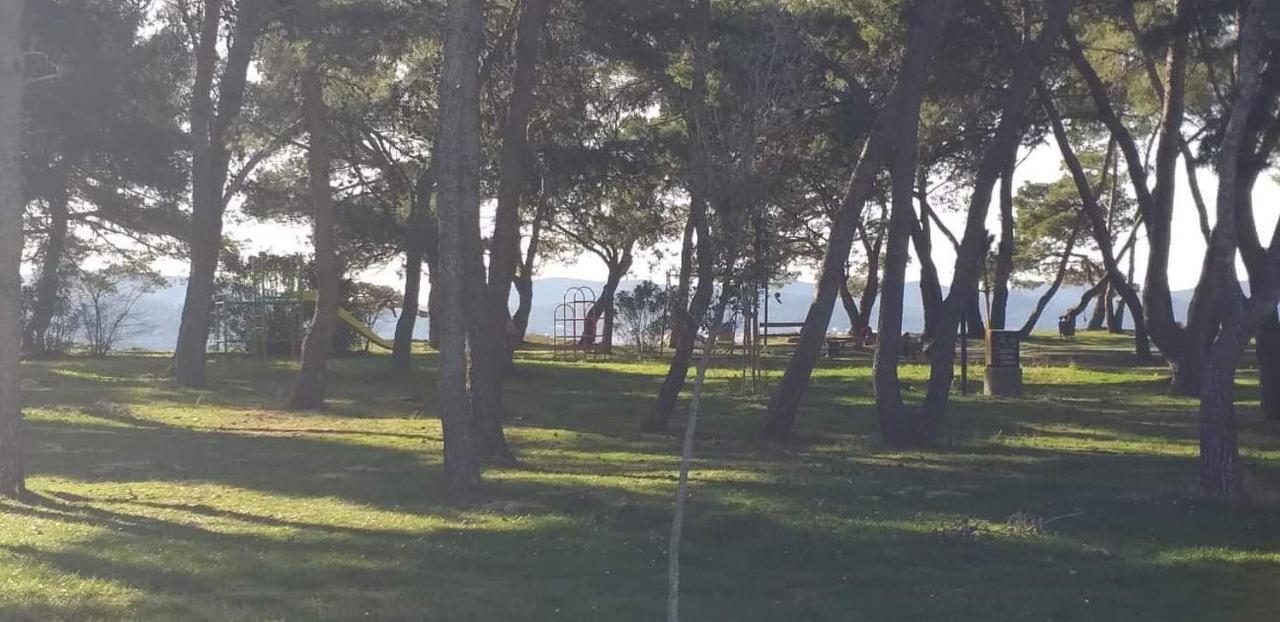 Apartman Petar Daire Zadar Dış mekan fotoğraf